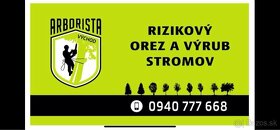 Rizikový orez a výrub stromov výškový pilčík - 1