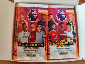 Panini Premier League 2024/2025 booster box