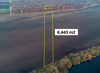 Vysoká pri Morave - 6.443 m2 ORNÁ PÔDA a LES 1/1