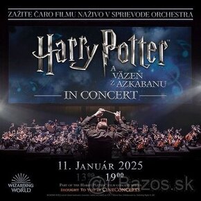 Harry Potter in concert