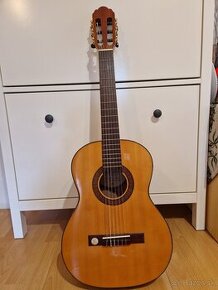 Gitara 3/4 -Gewa Pro Arte GC75A