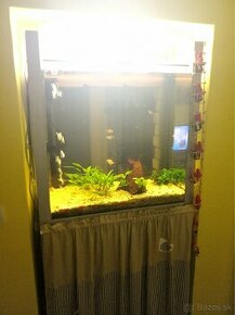 Aquarium / terarium