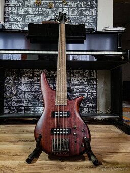 Bass gitara