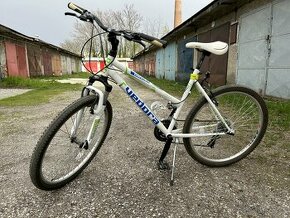 Damsky horsky bicykel Vedora