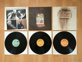 Československé LP, 6€ za kus. - 1