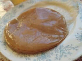 Kombucha - Čajová huba - Scoby + štartovacia báza