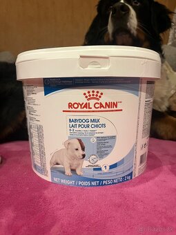 Mlieko pre šteniatka Royal Canin