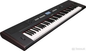 Yamaha piaggero NP V-80