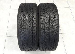 205/50R17 Zimné pneu GoodYear