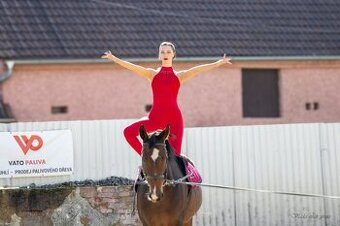 Kobylka na rekreaci / rodinný mazel