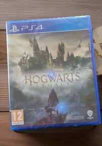 Hogward Legacy na ps4