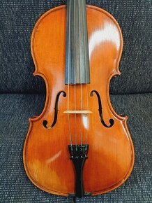 Viola 39,5