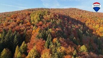 Les v katastrálnom území Vydrná  38460m2 - 1