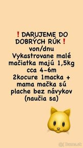 Darujem vykastrovane mačiatka