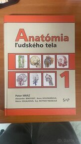 Anatómia 1 - Peter Mráz 2024