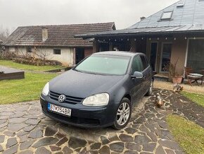 Vw Golf 5 1.9tdi 77kw dsg