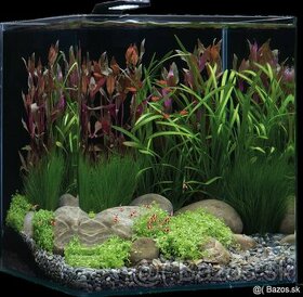 Kompletný set Aquarium Dennerle 60l basic style