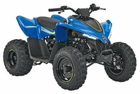 CFMOTO GLADIATOR X110