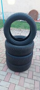 215/55 r17 zimne