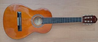 Gitara Valencia VC 102 1/2