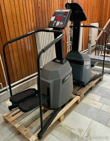 Life fitness stepper