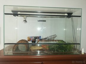 Terarium 80 x 40 x50