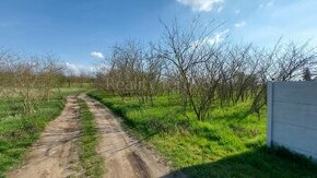 Pozemok na predaj Marcelová- predaj aj na splátky - 1