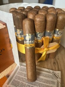 Cohiba Robusto