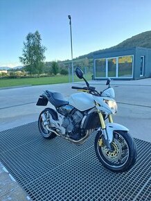 Honda Hornet CB600f 2009 25kw v TP A2 - 1