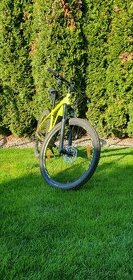 Specialized Turbo Levo 2019