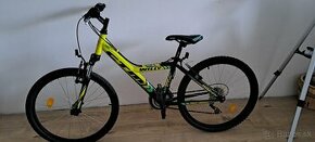 Bicykel CTM Willy 24 - 1