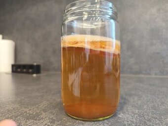 Scoby so štarterom - 1