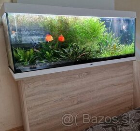 Juwel rio 450 akvarium