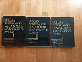 Atlas toporafickej anatómie 3 diely Popesko