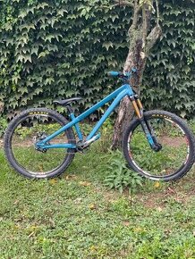 Specialized P3 custom built