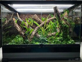 Terrarium RP 60x45x45