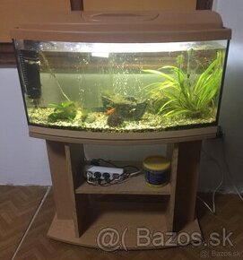 Predam akvarium