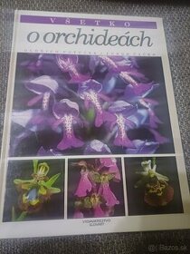 Vsetko o orchideach