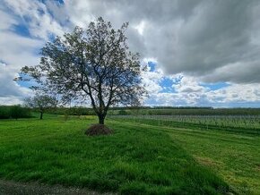 KOMPLET VYČISTENÝ stavebný pozemok - 1753m2