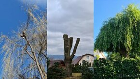 Opiľovanie a spiľovanie rizikových stromov, Arboristika