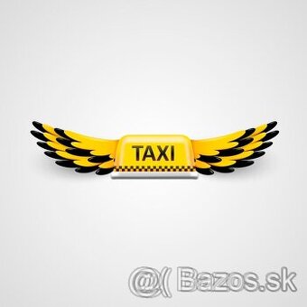 Vodič vodička taxi