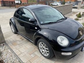 Beetle