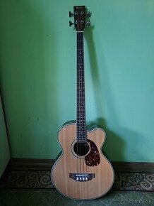 Elektroakustická basgitara - 1