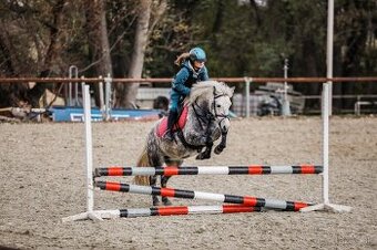 Predam sportovu pony S- do rodiny, hobby - 1