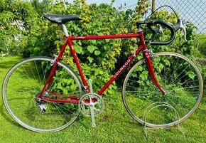 Colnago Nuovo Mexico