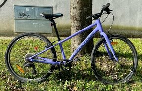 Cannondale 24 - 1