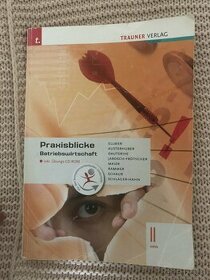 Praxisblicke Betriebswirtschaft