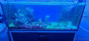 Morske akvarium - 1