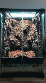 Terarium ExoTerra 30x30x45 / 2