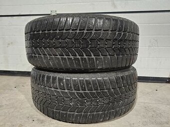 Zimné Pneu Sava EskimoHP2 225/55 R17 2ks - 1